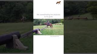 Master Equine Skills: Transform Your Riding Journey! 😂 #EquineMasterclass #Horsemanship #OneRideAway