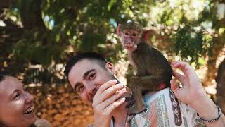 Video thumbnail of "Koala - Adrián Campos (Videoclip)"