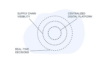 NEOLink (Polish Version)