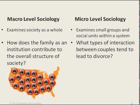 My Sociology Mini Lecture 2.1 - Micro & Macro Sociology