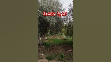 #تلاوة_خاشعة #ماهر_المعيقلي #المعيقلي #اسلاميات #ترند #صبرو #تيك_توك #الارسولالله #تصويري #لايك