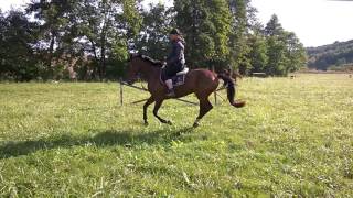 WP 20160920 15 35 46 Pro