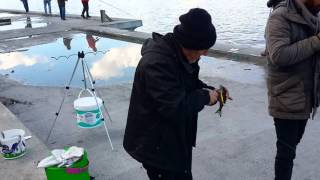 rapala ile çinakop avı kanlıca 03-12-2015