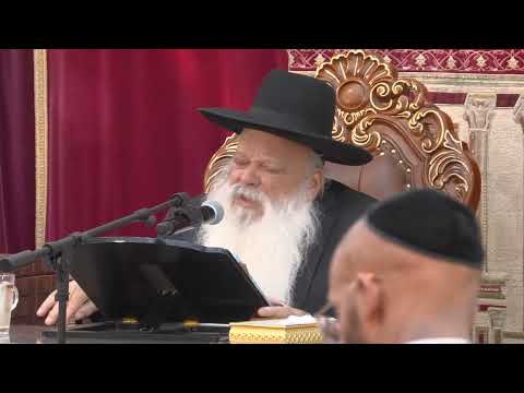 חיים של אמונה | הרב דניאל זר