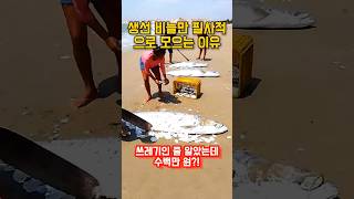 쓰레기로 수백만 원? 3미터 고대어 비늘만 뜯는 이유 | The Trash To Luxury Mystery