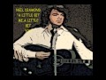 Neil Diamond - A Little Bit Me,A Little Bit You