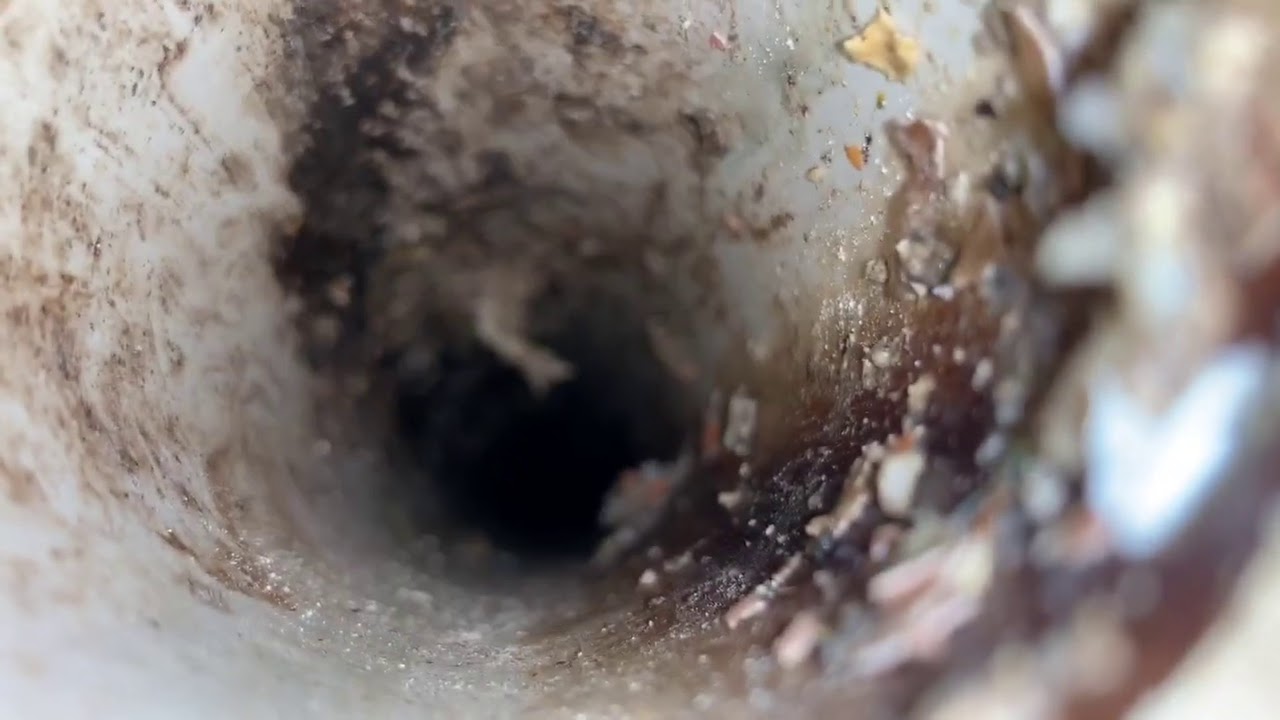 Kitchen Sink Drain Grease Removal - YouTube