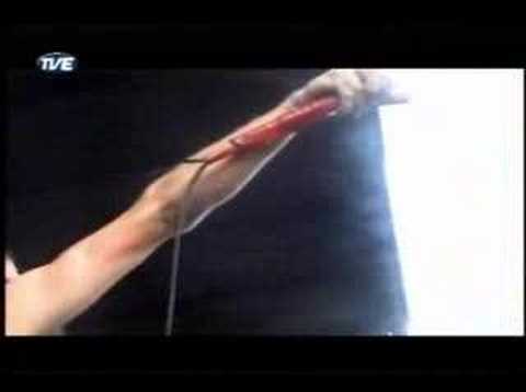 The Used feat. Pierre - The Taste Of Ink (Live Warped Tour)