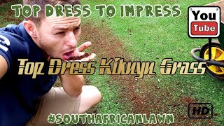 Top Dress Kikuyu Lawn #topdresstoimpress