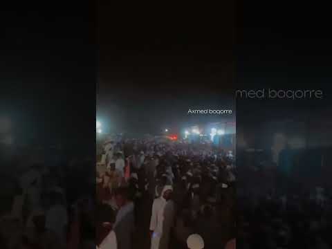 Halkani Xaramki Maaha Ee Waa Hargasa Amni Badan 