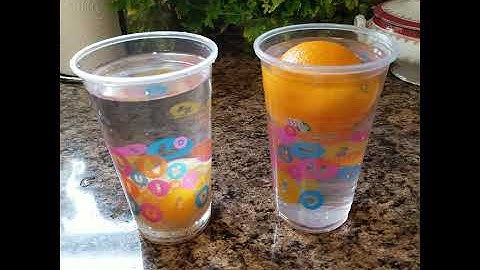 Catherine Experiments With Oranges Will They Sink Or Float