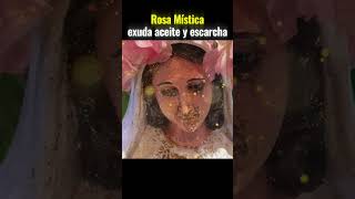 La Virgen que desafía a la ciencia  #forosdelavirgenmaria #milagro