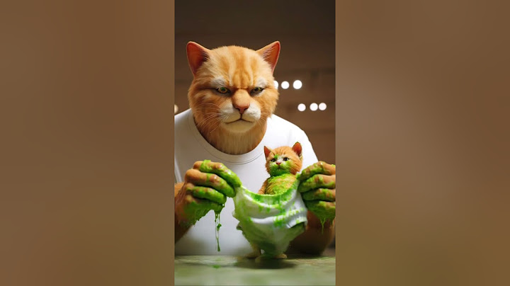 Betapa sulitnya menjadi Ayah Kucing?! 🙀 #kucing #anakkucing #imut