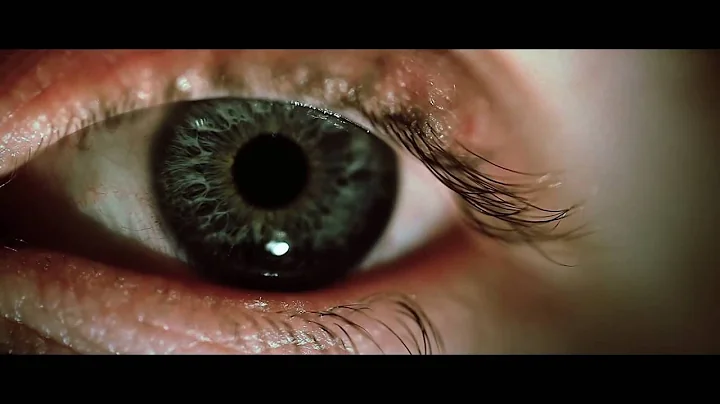 Terence Ryan - "Alan's Right" (Official Video) HD