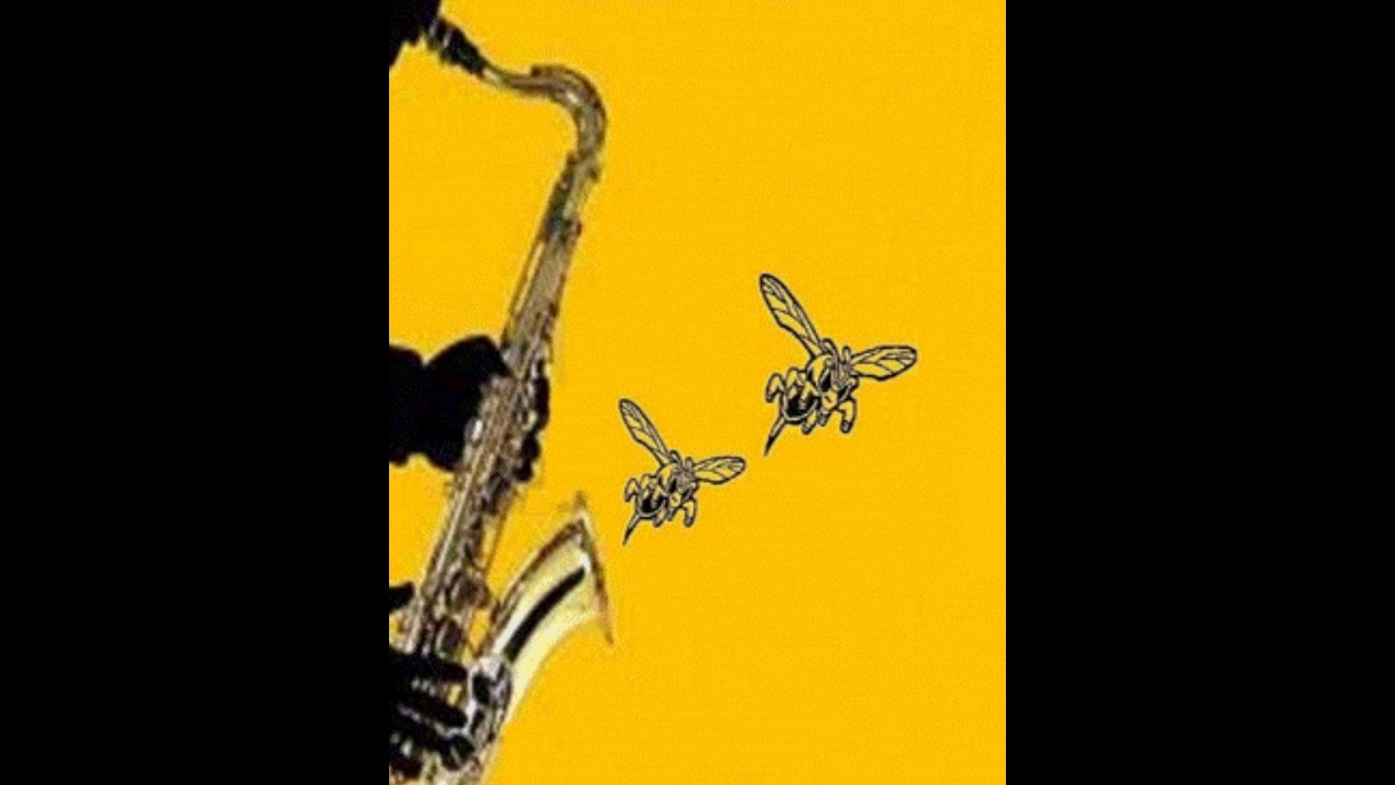 Black Orpheus March 2 2026