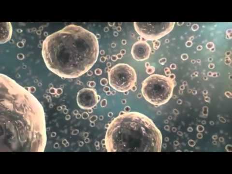 Video: E3 Ubiquitin Ligase NEDD4 Formidler Cellemigrasjonssignalering Av EGFR I Lungekreftceller