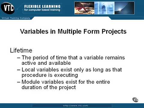 20 03   Variables in Multiple Form Projects