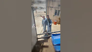 مبارك النور اتردد مع الايام 