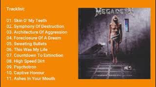 Lagu Barat Megadeth - Countdown To Extinction (1992) Full Album