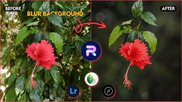 Flower Mobile Editing Tutorial | Blur Image Background | Lightroom Color Grading | PhotoRoom  Edit