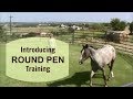 Journey - How to introduce a horse to the round pen and the "International Symbol for Pet"