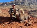 Desert Sheep Hunt 2021