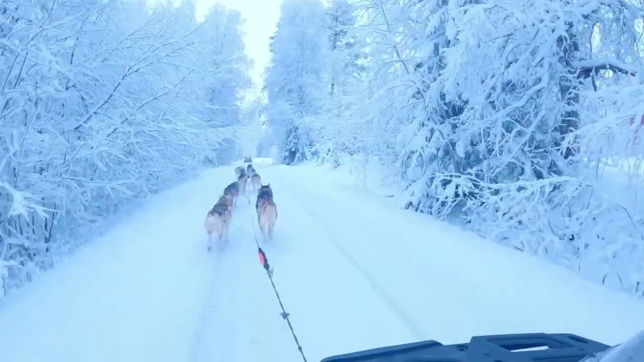20km veto. Kokonaan ilman leikkausta.