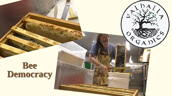 RUBY REID - Valhalla Organics - What is a bee demo...