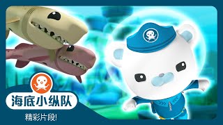 海底小纵队 - 🍪 雪茄达摩鲨 🦈 | 精彩片段! | 集完整版 by 海底小纵队 4,023 views 1 month ago 3 minutes, 16 seconds