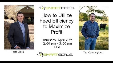 How to Utilize Feed Efficiency to Maximize Profit