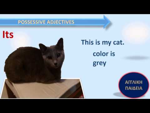 The Possessive Adjectives - Τα κτητικά επίθετα - Δωρεάν Μάθημα Αγγλικών