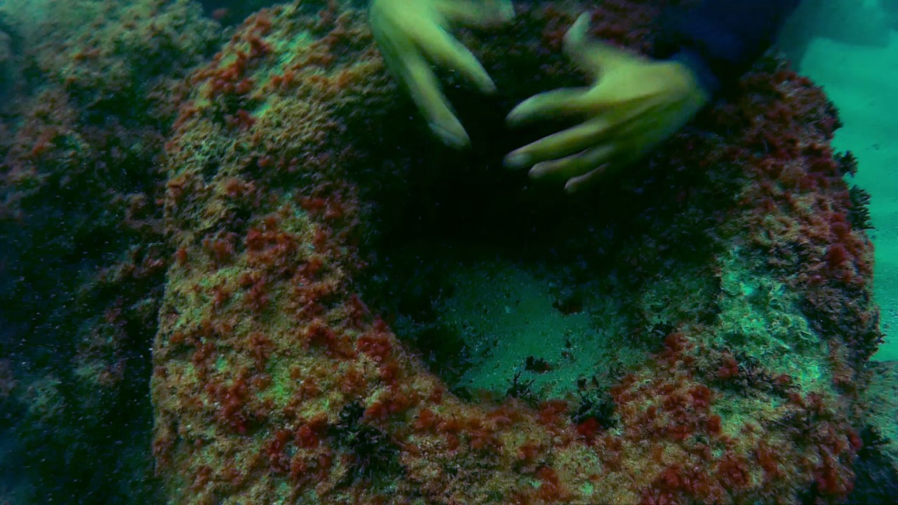 Underwater Alexandria Lighthouse YouTube