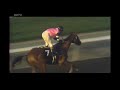 Inside Information: Affirmed vs. Alydar