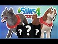 Balto & Jenna's Puppies?! 🐱🐶 Sims 4: Cats & Dogs