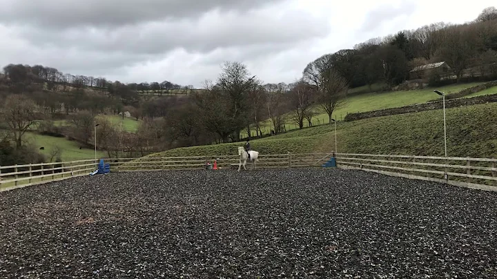 Riding Club Dressage. Number 140 Sally Dumbleton (...
