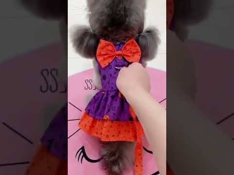 BABy DANCING TUTORIAL // Jojo Siwa & Miranda Sings 77