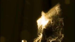 Logo Design | Desert Eagle Coffee Video Intro