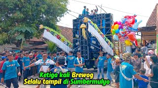 Brewog Dengan Truk Warna Kopi Susunya Makin Ganteng Karnaval Sumbermulyo Jombang