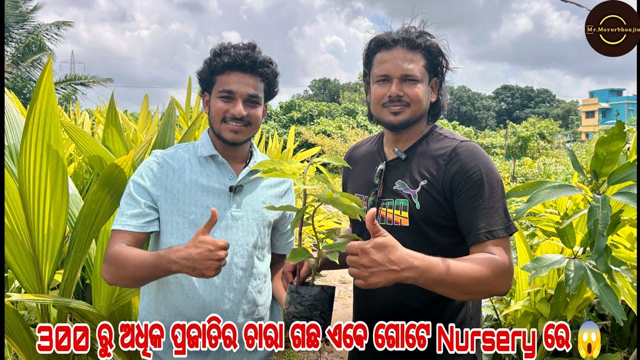 300 ରୁ ଅଧିକ ପ୍ରଜାତିର ଚାରା ଗଛ ଏବେ ଗୋଟେ nursery ରେ 😱 || Mr Mayurbhanjiaaa || E-farming Odisha #plants 