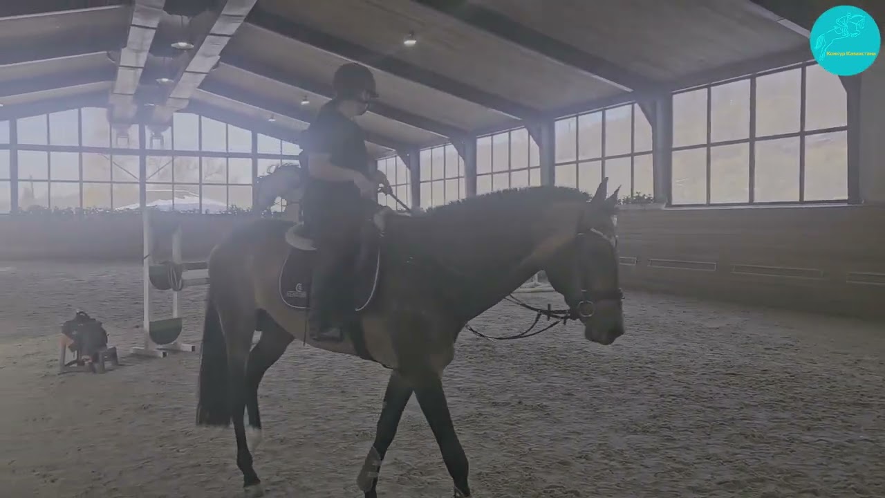 Лиза и Cosmo Diamond. Прыжковая тренировка. Кск Харагун. 07.01.25.Алматы Тренер МС Ибрагимова Ясмин.