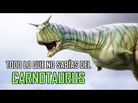 Todo lo que no sabías del: Carnotaurus Sastrei.