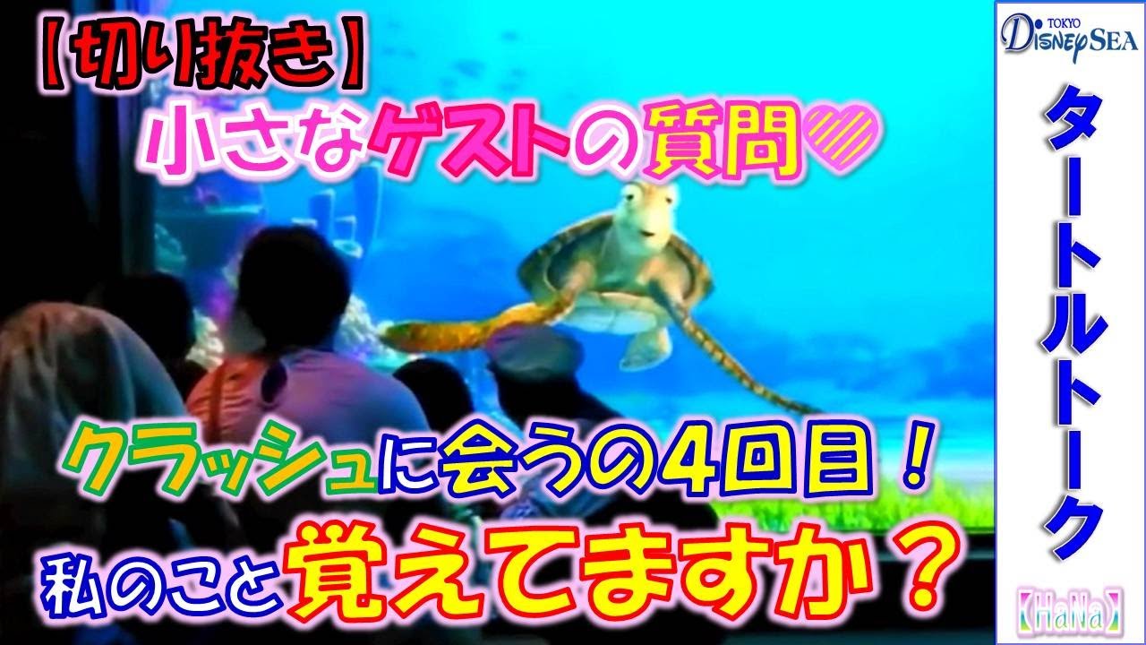【切り抜き】 タートルトーク 「小さなゲストの可愛い質問💛クラッシュに会うの４回目だけど私のこと覚えてますか？」【HaNa】