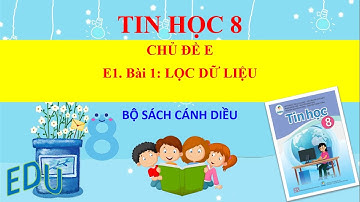 Chủ đề E - Bài 1: LỌC DỮ LIỆU - TIN 8.Sách Cánh Diều| TIME