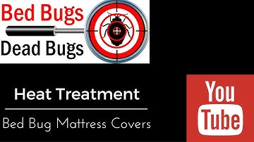 Install Bed Bug Mattress Cover