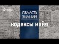 Как советский ученый Юрий Кнорозов расшифровал язык майя?