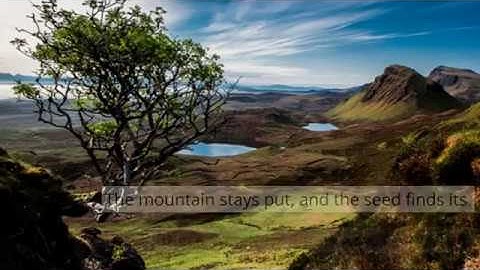 Trigrams and images of Hexagram 53