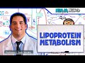 Metabolism Lipoprotein Metabolism Chylomicrons VLDL IDL LDL HDL 