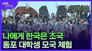 재외동포 대학생 모국연수 기획 - 모국과 만난 '그해 여름' [글로벌코리안] / YTN korean
