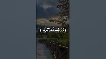 ليس على الأعمى حرج 🌿 القارئ | ياسر الدوسري 🌿 السورة | الفتح 🌿