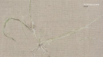 Piiptsjilling - Fiskersbloed